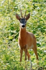 Picture_073.jpg