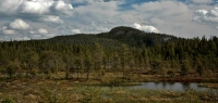 Filename=1028.jpg
Filesize=482KiB
Dimensions=1470x700
Date added=Jan 09, 2011 1028.jpg