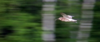 Filename=1032.jpg
Filesize=100KiB
Dimensions=1165x500
Date added=Jan 09, 2011 1032.jpg