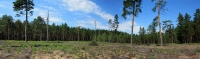 Filename=1320.jpg
Filesize=525KiB
Dimensions=1600x472
Date added=Jan 10, 2011 1320.jpg