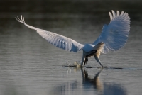 Filename=1582.jpg
Filesize=285KiB
Dimensions=1400x944
Date added=Jan 10, 2011 1582.jpg