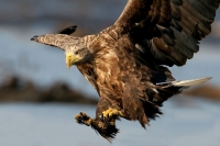 Filename=35.jpg
Filesize=165KiB
Dimensions=900x602
Date added=Jan 10, 2011 35.jpg