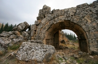655.jpg
