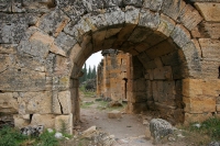 656.jpg
