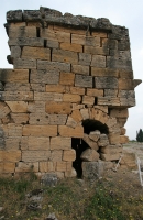 657.jpg