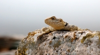 Filename=697.jpg
Filesize=201KiB
Dimensions=900x502
Date added=Jan 10, 2011 697.jpg