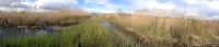 Filename=IMG_0609.jpg
Filesize=570KiB
Dimensions=2560x553
Date added=May 05, 2014 IMG_0609.jpg