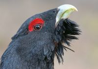 IMG_9419.jpg