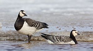 Bestandsnaam=6F3A3502.jpg
Bestandsgrootte=133KiB
Afmetingen = 1300x712
Datum toegevoegd = 25 feb 2018 6F3A3502.jpg