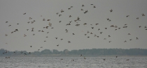 IMG_6978_resize.JPG