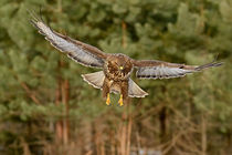 _DSC2880-Edit.jpg