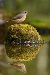 DSC_8412.jpg