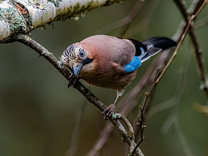 850_5854-Edit.jpg