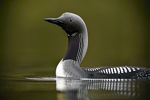 Failo pavadinimas=_DSC1756_-jpg-2.jpg
Failo dydis=734KiB
Dydis=1400x934
Įkėlimo data=Lap 17, 2025 _DSC1756_-jpg-2.jpg