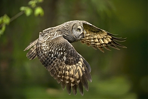 Failo pavadinimas=_DSC4749_-jpg-2.jpg
Failo dydis=999KiB
Dydis=1400x934
Įkėlimo data=Lap 13, 2025 _DSC4749_-jpg-2.jpg