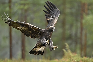 Tiedostonimi=_DSC6643_-jpg-2.jpg
Tiedostokoko=731kt
Koko=1400x934
Lisätty=27.01.2026 _DSC6643_-jpg-2.jpg