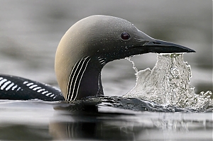 Failo pavadinimas=_DSC8419_-jpg-2.jpg
Failo dydis=711KiB
Dydis=1400x933
Įkėlimo data=Kov 03, 2026 _DSC8419_-jpg-2.jpg