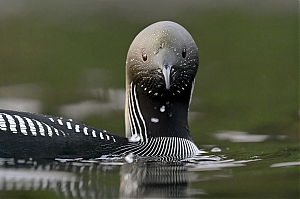 Failo pavadinimas=_DSC8498_-jpg-2.jpg
Failo dydis=700KiB
Dydis=1400x933
Įkėlimo data=Vas 03, 2026 _DSC8498_-jpg-2.jpg